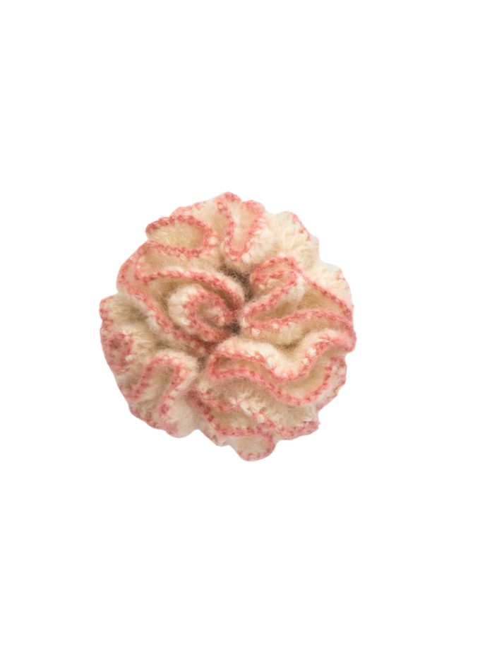 Scrunchie